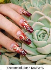 Beautiful Female Fingers Nice Abstract