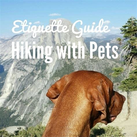 Beautiful Good Dogs Guide To Hiking Etiquette
