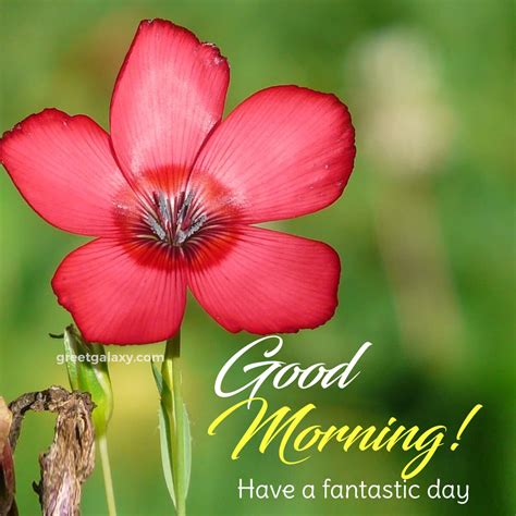 10 Beautiful Ways to Kickstart Your Good Morning Routine