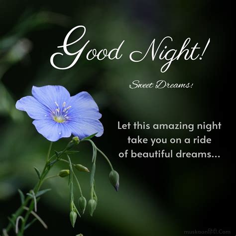 Indulge in Sweet Slumber with These Beautiful Good Night Quotes