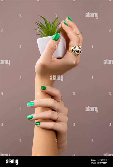 Beautiful Groomed Womans Hands Spring