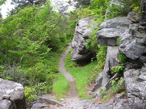 Discover the Enchanting Trails: A Guide to Stunning Hikes Near Your Location