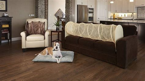 Beautiful How To Keep Dog Off Furniture