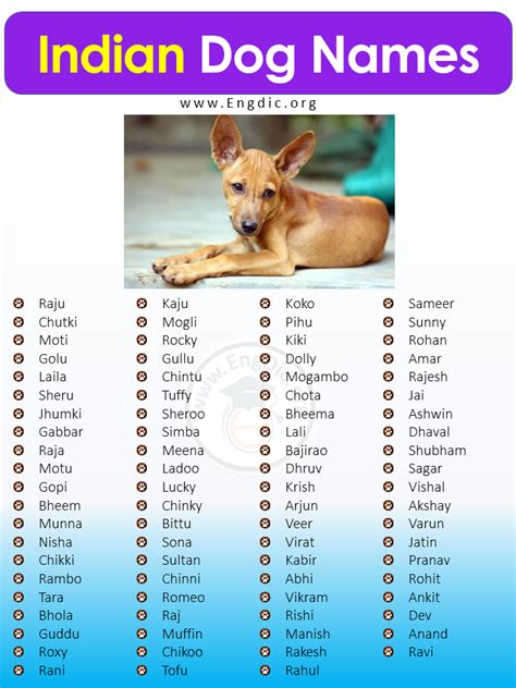 Beautiful Indian Dog Names For Male