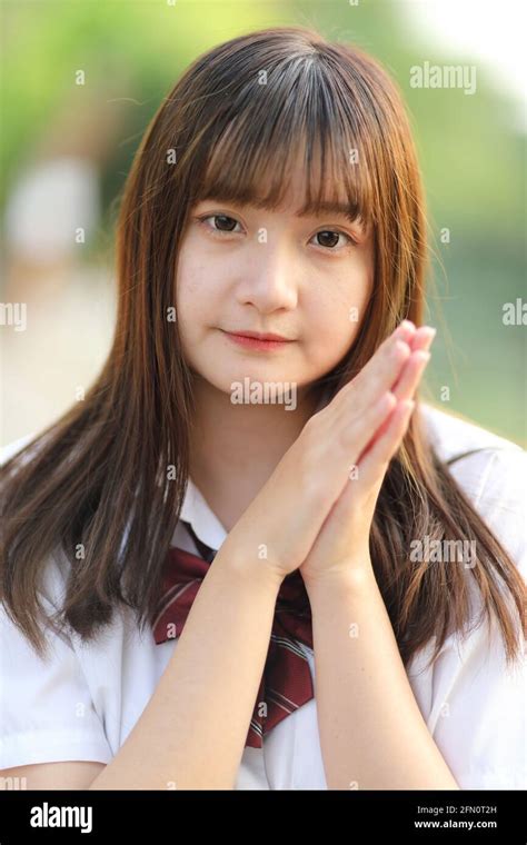 Embark on a Cultural Journey: Experience the Charm of Japan's Most Beautiful Schools