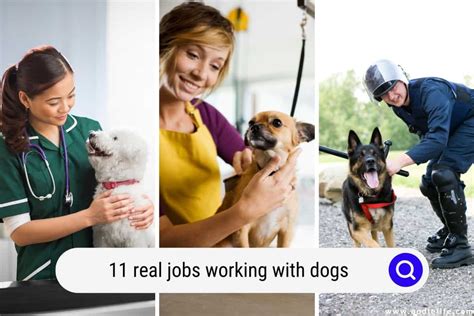 Beautiful Jobs With Dogs
