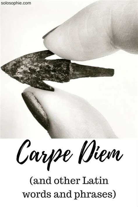 Glorious Lexicons: Uncover the Charm of 10 Beautiful Latin Words