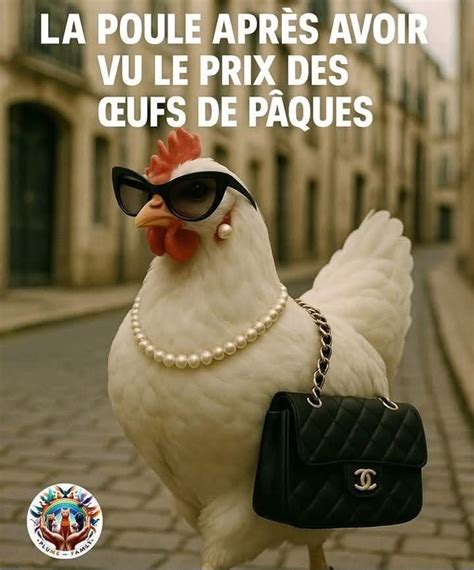 Beautiful Memes In French