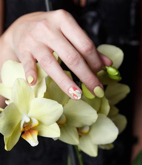 Beautiful Nails Flower Closeup Great