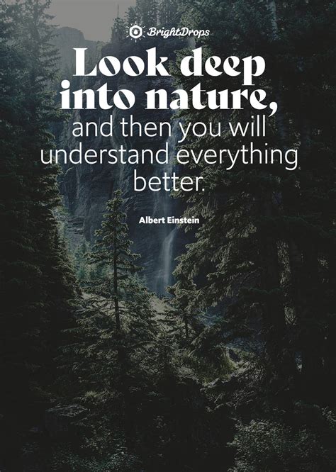 Beautiful Nature Quotes