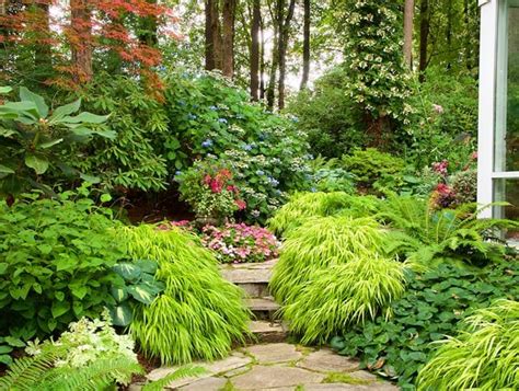 Beautiful Perennials for Shady Areas