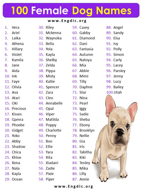 Beautiful Pretty Girl Dog Names