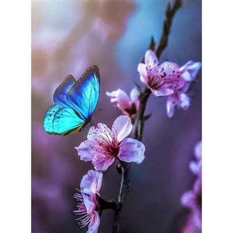 Unveiling the Art of Captivating Profile Pictures: A Guide to Creating Beautiful and Dazzling Online Avatars