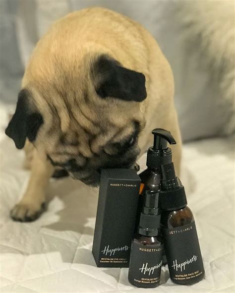 Beautiful Pug Shampoo Bottles