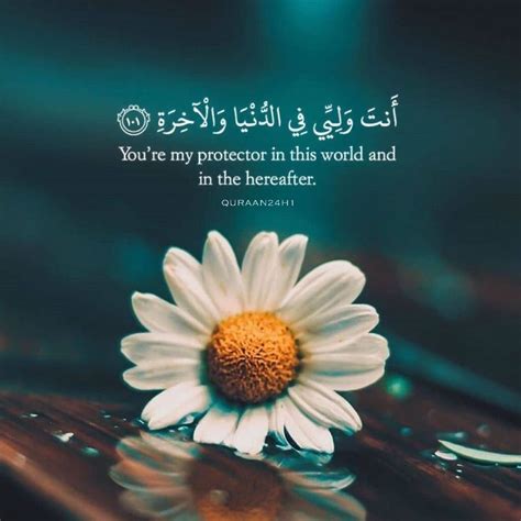 Beautiful Quran Quotes