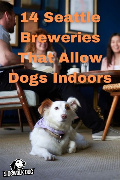 Beautiful Seattle Breweries That Welcome Dogs Inside