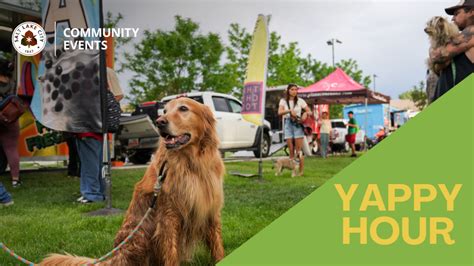 Beautiful Sidewalk Dog Yappy Hour Recaps