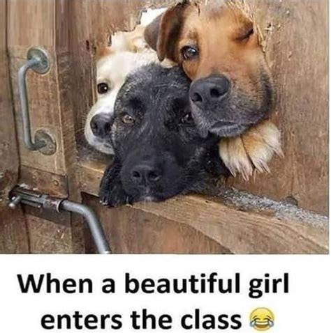 Beautiful Smiling Meme