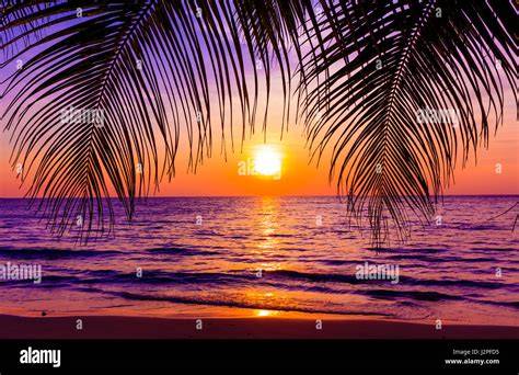 Beautiful Sunset Over the Ocean