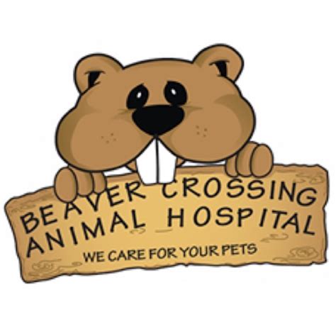 Expert Veterinary Care at Beaver Crossing Animal Hospital in Lilburn, GA - Providing Top-Quality Animal Health Services