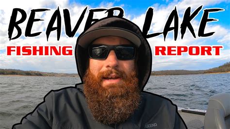 Beaver Lake Fishing Report