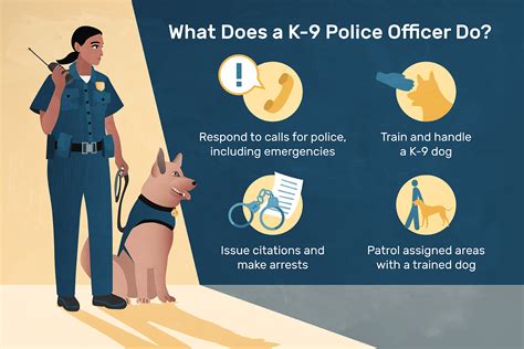 Become A K9 Officer: Career, Salary, Steps