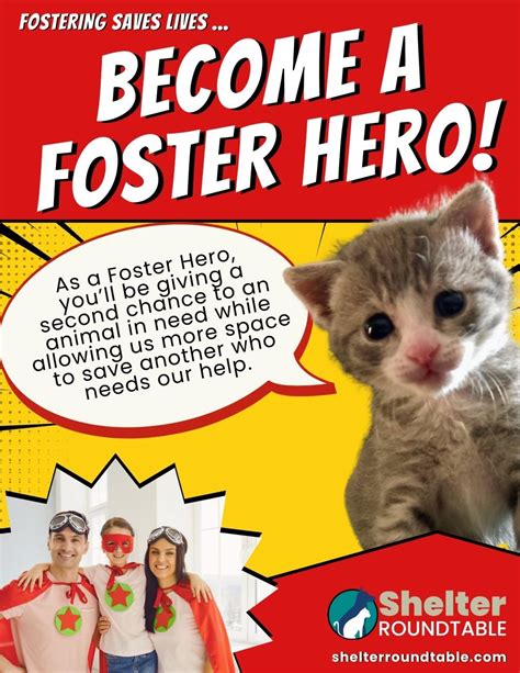 Becoming a Foster Hero