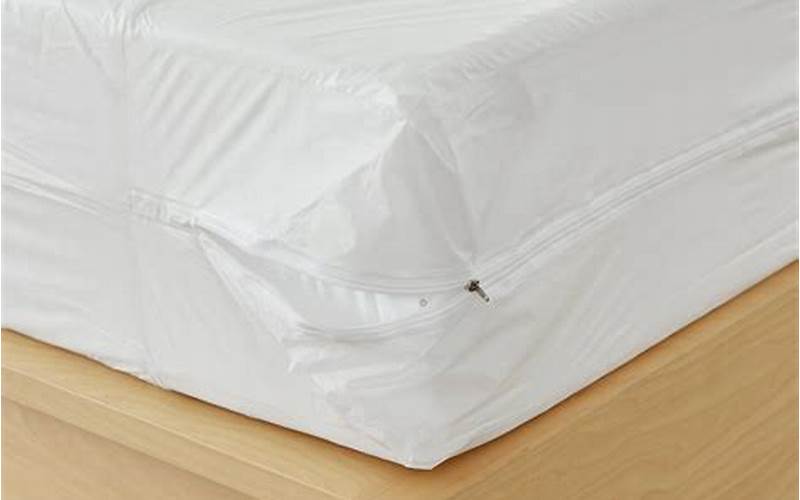 Bed Bugs Proof Mattress And Box Spring Covers Image