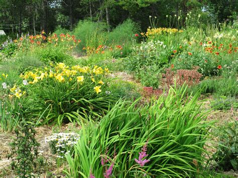 Beddington Ridge Farm