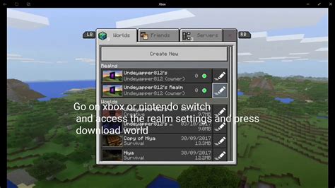 Bedrock Edition Realms & Add-ons