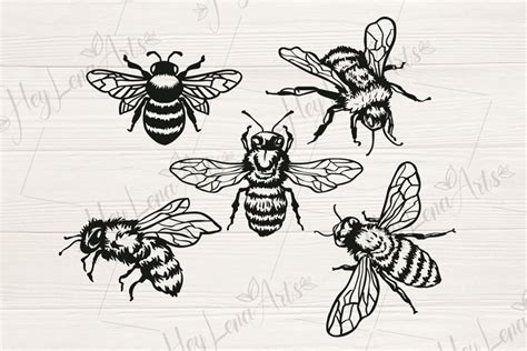 Download Bee Bundle Cricut SVG DXF Files