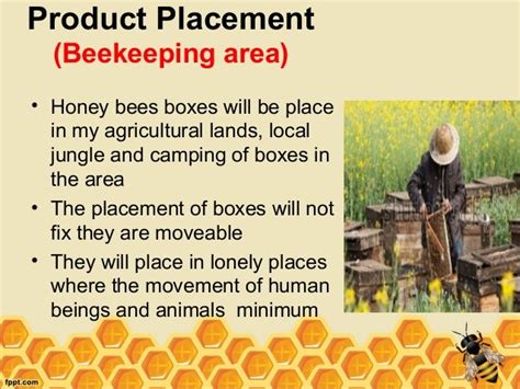 Bee Farming Business Plan