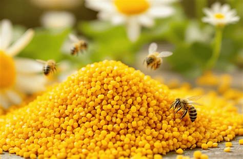 Bee Pollen: Risks & Safe Usage Tips