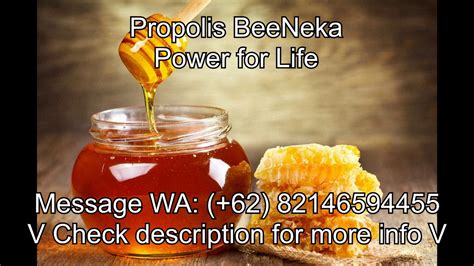 Bee Propolis Gum Recession