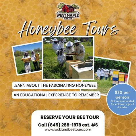 Bee Tour