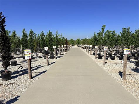 Beech Ridge Tree Farm