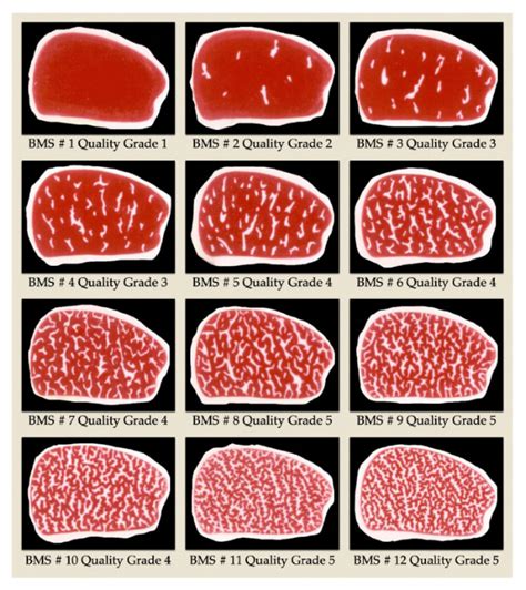 Beef Marbling Score Chart