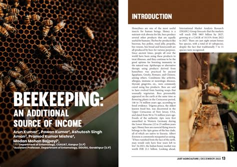 Additional Income Streams