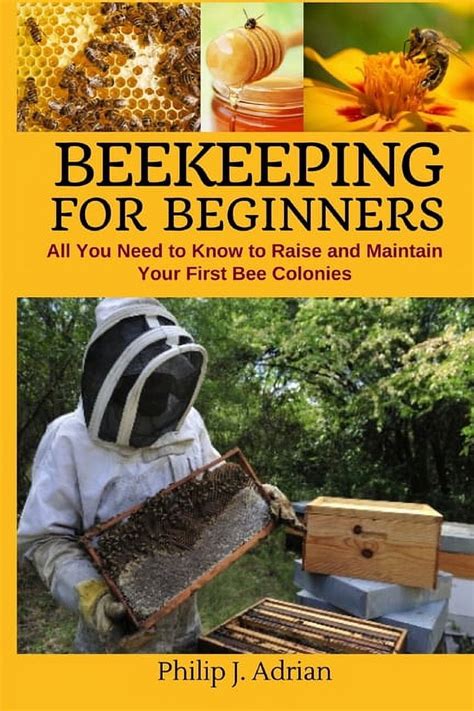 Beekeeping For Beginners: How To Raise Your First Bee Colonies