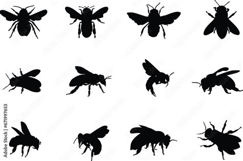 Download Bees Silhouette