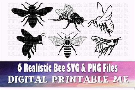 Download Bees Svg Bundle Realistic Bee Silhouette Files