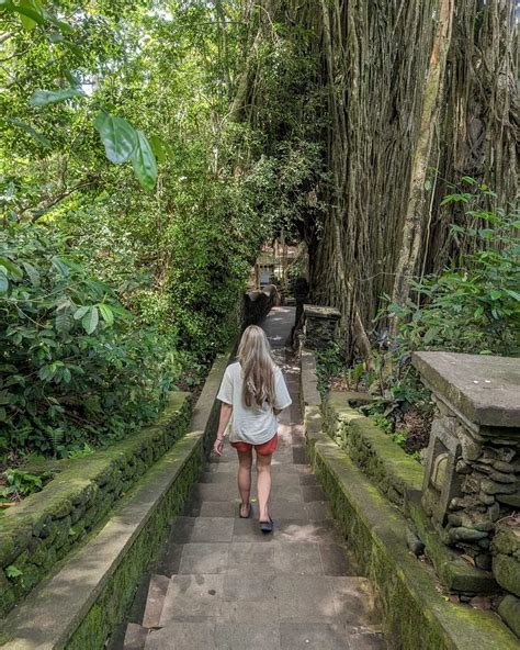 Before Visiting Ubud