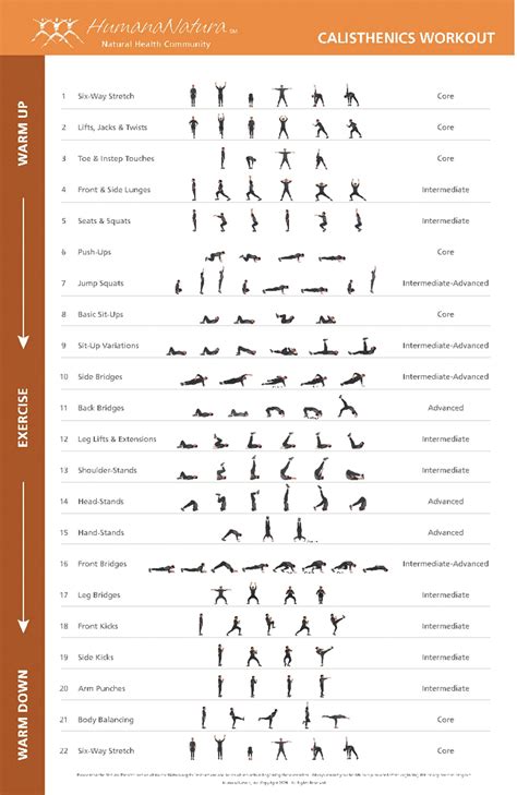 Beginner Calisthenics Workout Pdf