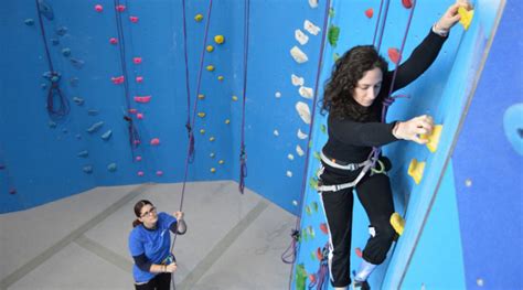 Beginner Climbing Lesson