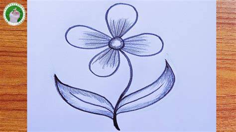 Beginner Flower Drawing