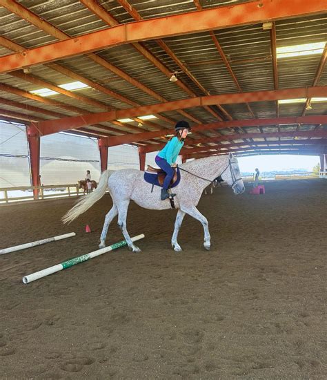 Beginner Horseback Riding