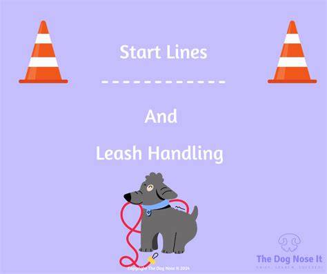 Beginner Leash Skills