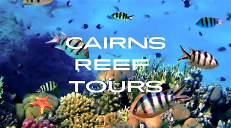 Beginner Reef Trip Tips