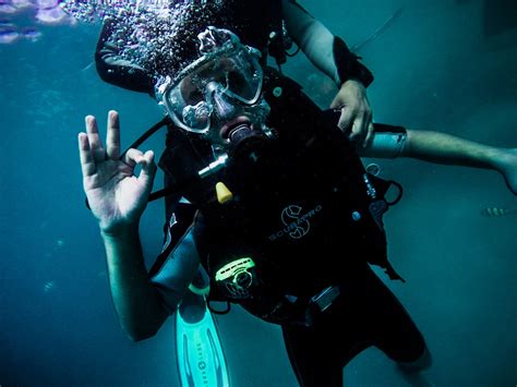 Beginner Scuba Diver