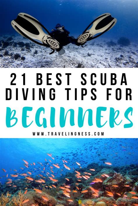 Beginner Scuba Diving Tips
